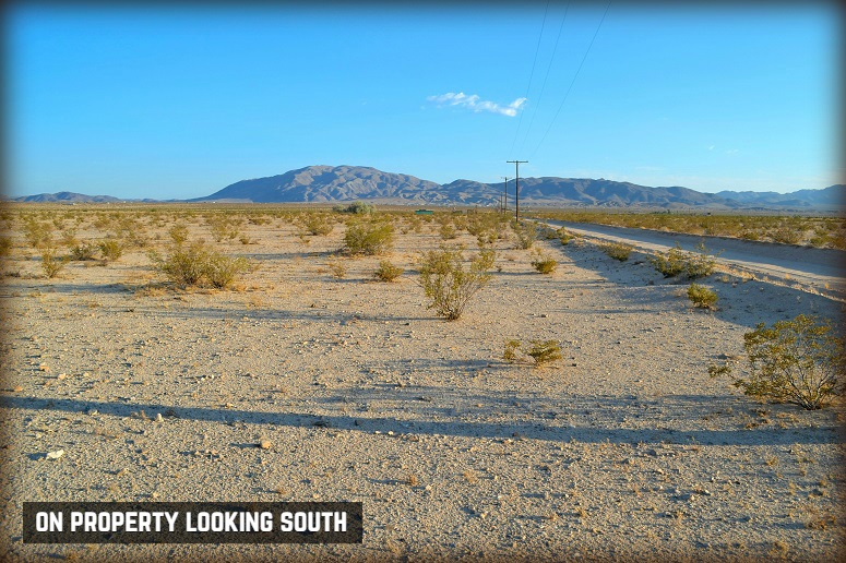 Mojave Road